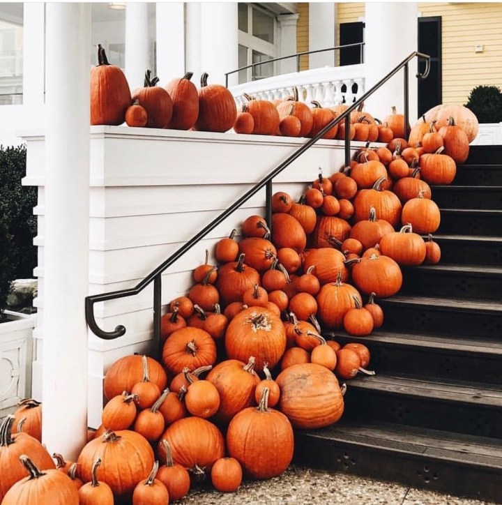 Halloween home decor trends