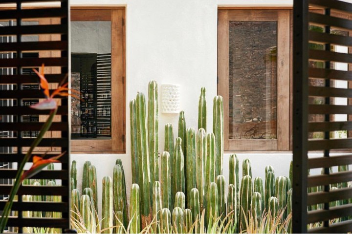 Modern Southwest Home Decor Desert Aesthetic