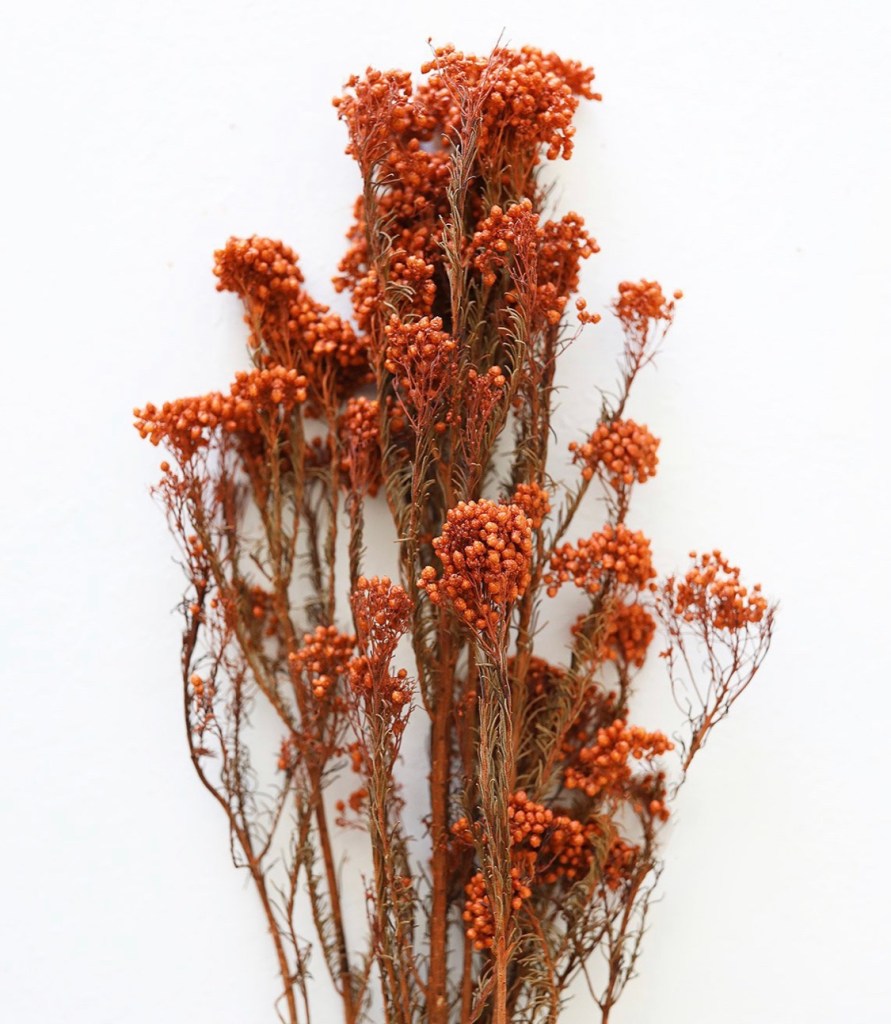 Terracotta dried florals rust dried florals floral arrangement